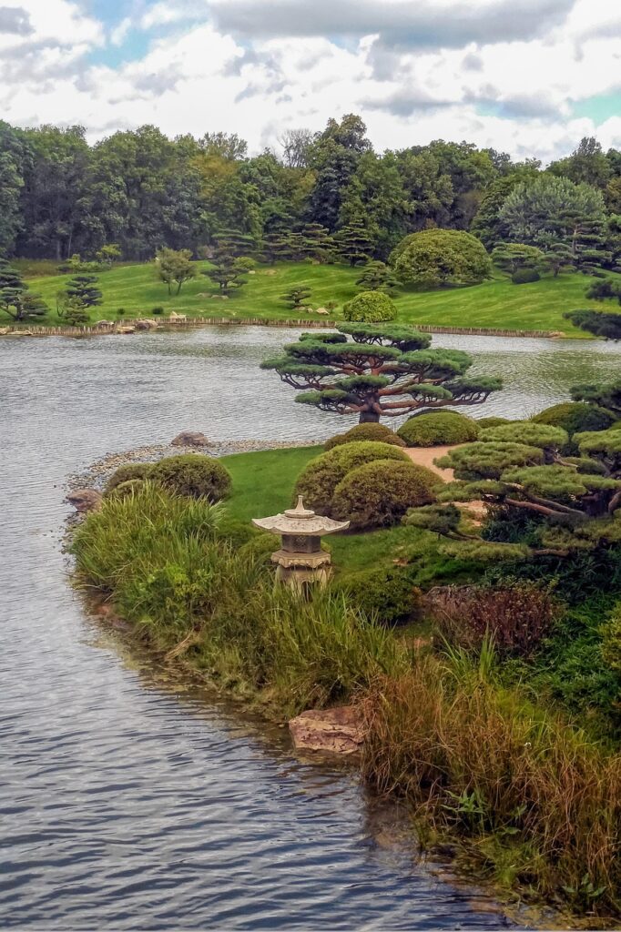 garden, japanese, japanese garden, bonsai, tree, bonsai tree, pagoda, landscape, pond, water, tranquil, green, nature, spring, culture